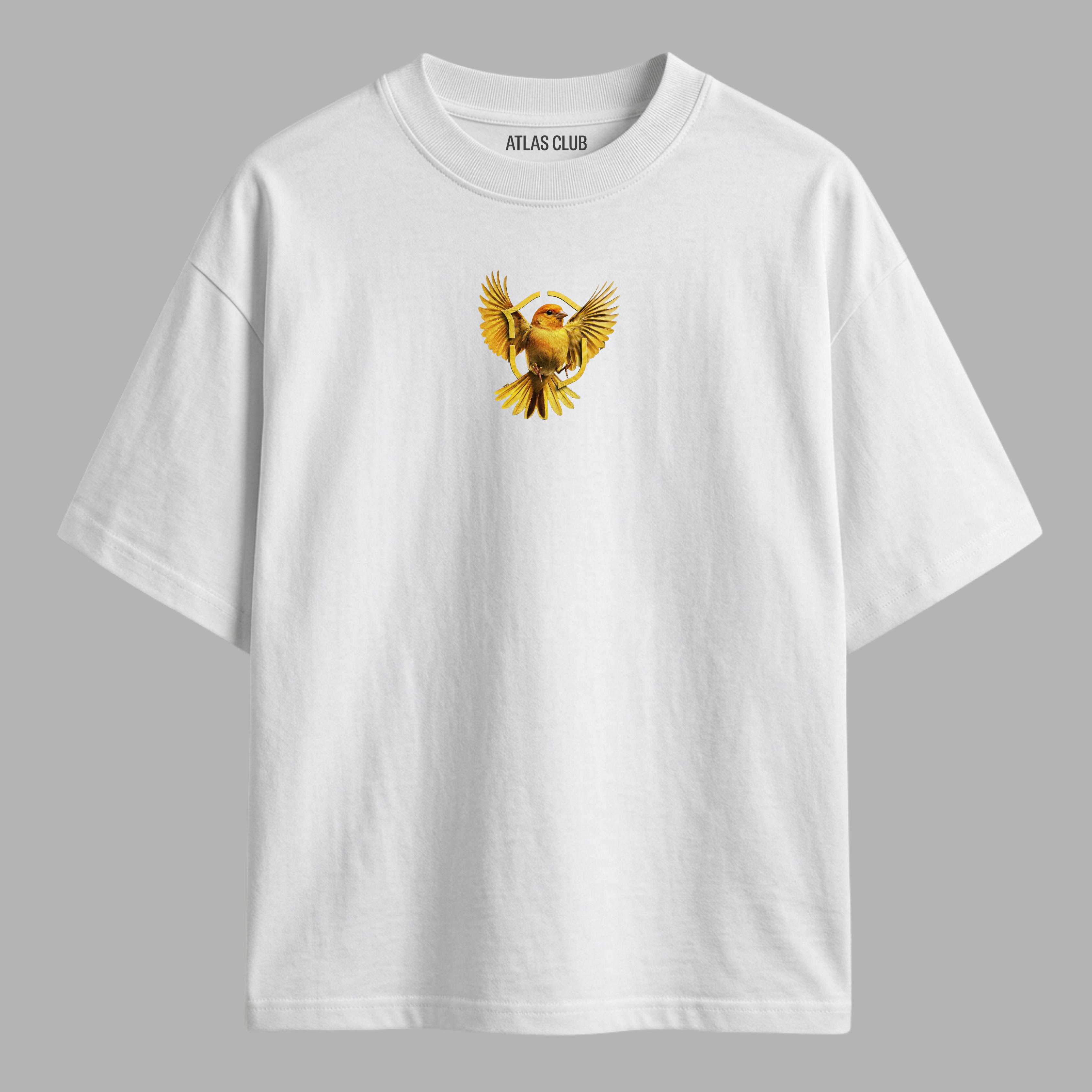 Camiseta Canarinho