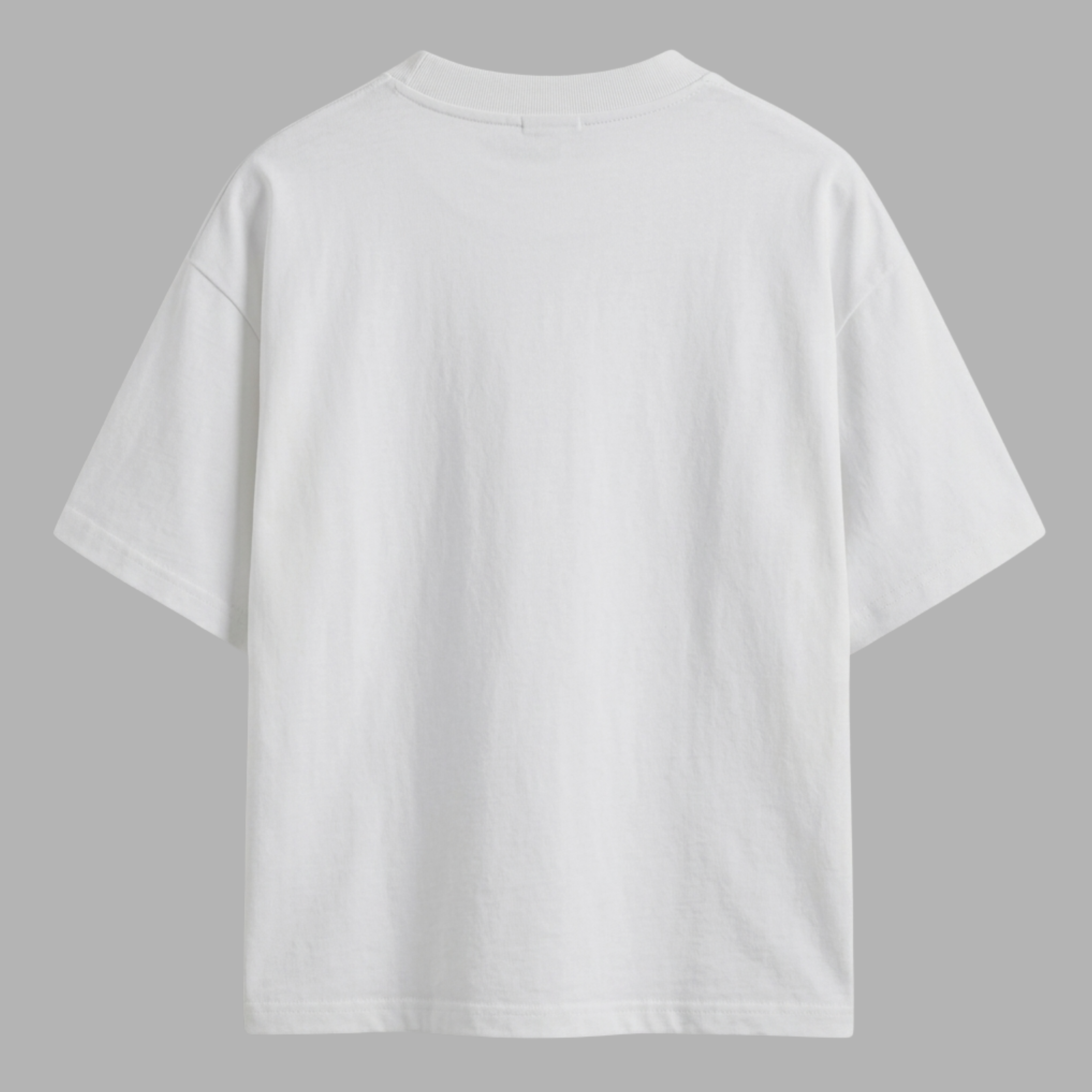 Camiseta Sem Risco, Sem História