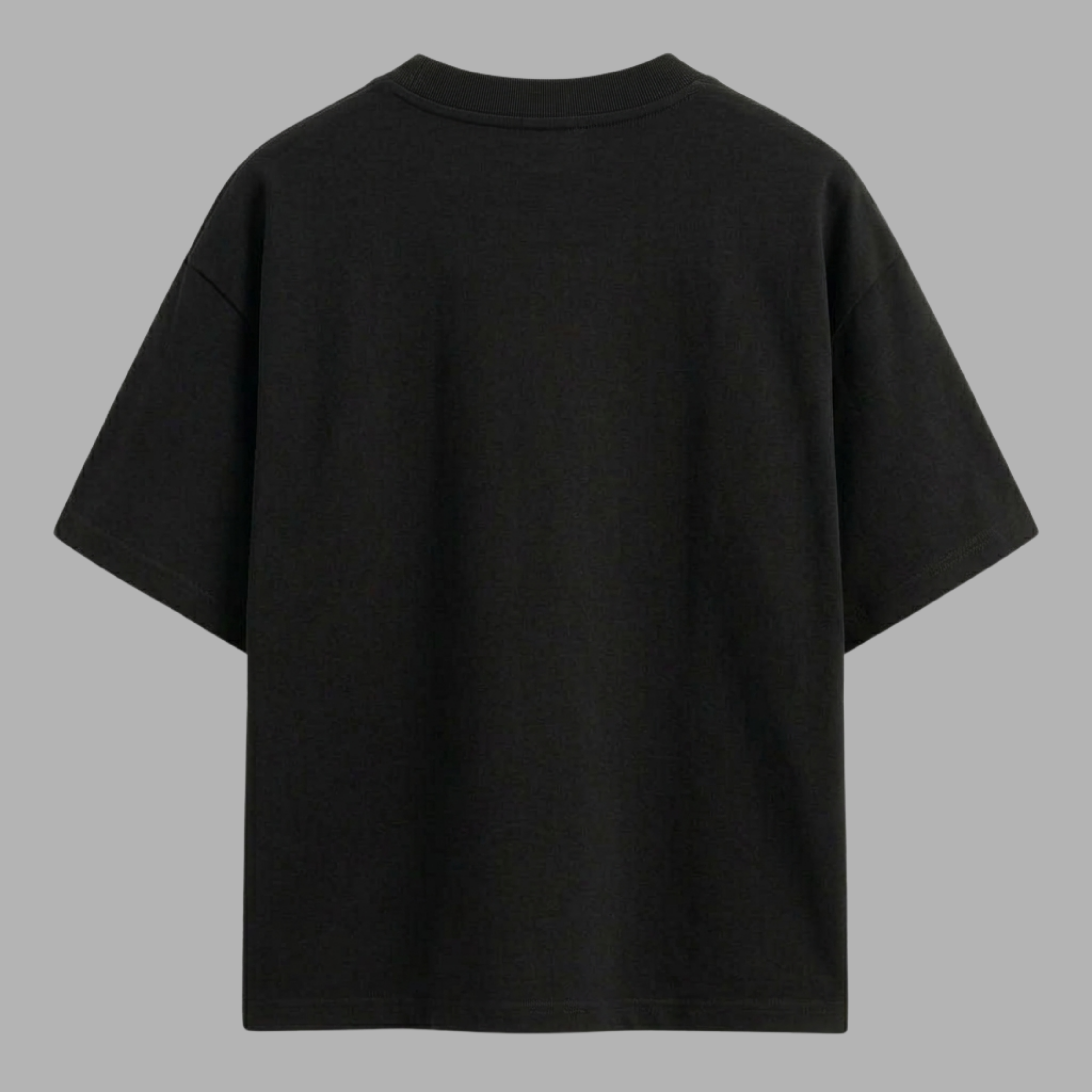 Camiseta Sem Risco, Sem História
