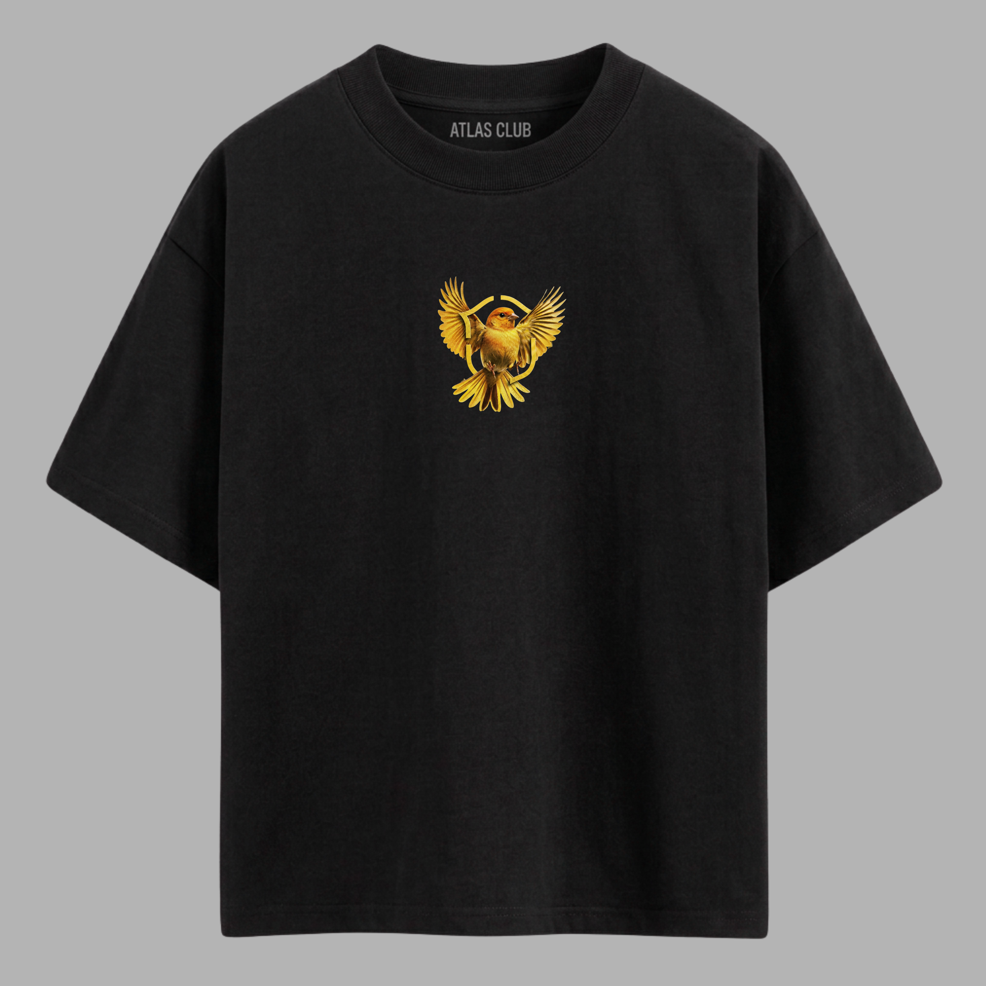 Camiseta Canarinho